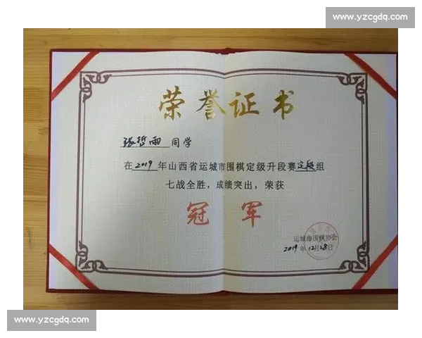 围棋定级定段:解锁成长的多维密码